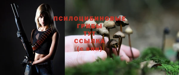 герыч Касимов