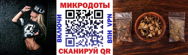 Псилоцибиновые грибы Psilocybe  Купить где  Балахна 